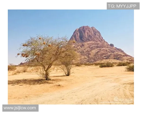 新西兰足球帅哥球星魅力四射引领绿茵场激情风暴 新西兰足球帅哥球星魅力四射引领绿茵场激情风暴