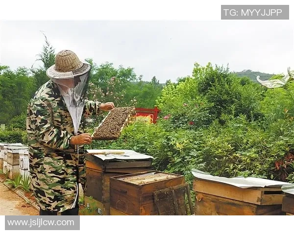 爱国足球球星拼搏奋进谱写绿色赛场民族荣耀华章
